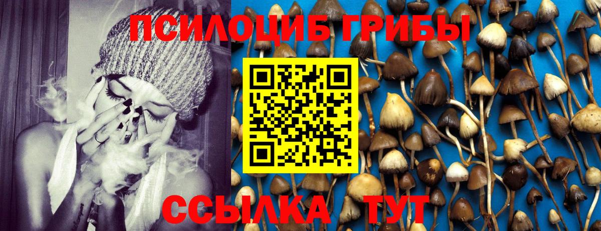 Россия  Псилоцибиновые грибы мухоморы  Вход с VPN 