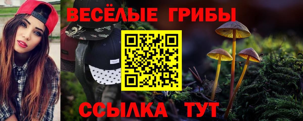 Галлюциногенные грибы Psilocybe Россия